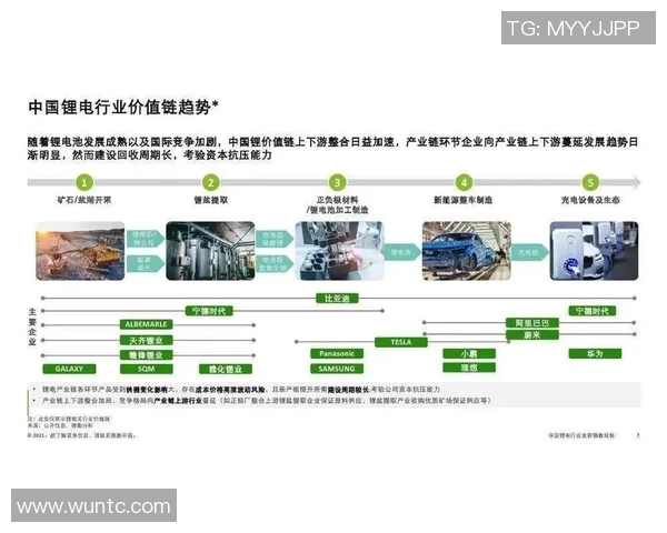 上海排球队实力解析：从历史辉煌到现状发展全景观察