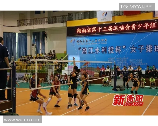 南京排球队引领最新排球技术前沿TOP10全解析 南京排球队引领最新排球技术前沿TOP10全解析