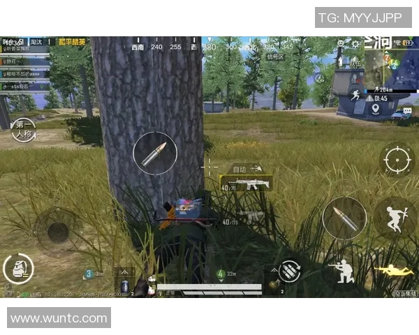 和平精英专题：深入分析BLG战队在比赛中的耐力表现与策略探讨