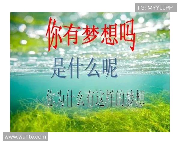 乒乓球赛场上的奋斗与梦想：吴静的深度人生对话探索