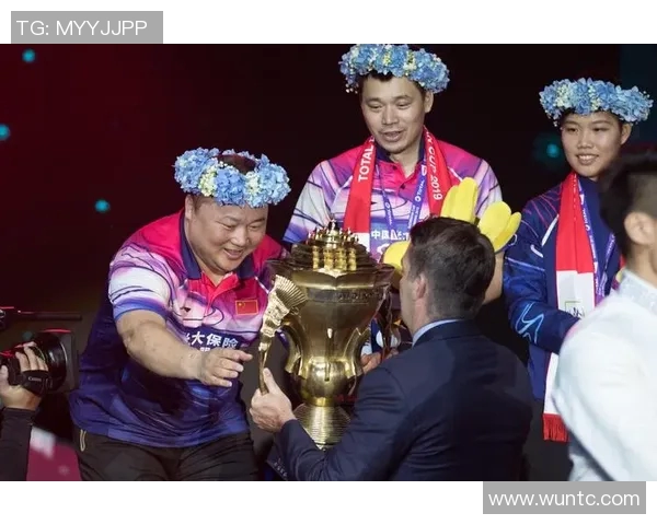 南京羽毛球队的崛起之路欧锦赛背后的奋斗与荣耀