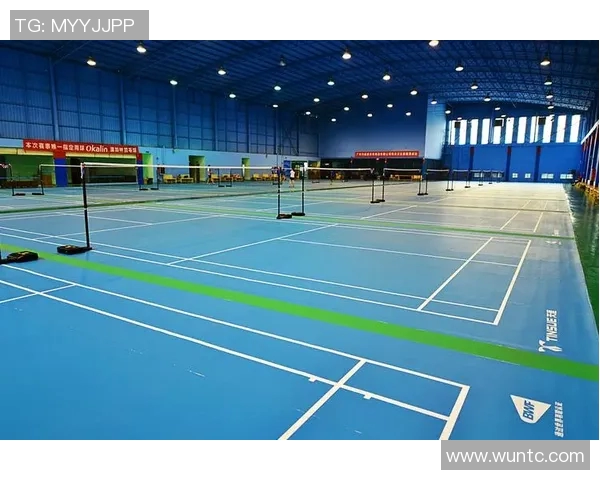 广州羽毛球队近期状态分析与表现评估探讨