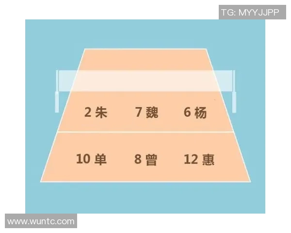 杭州排球队战术解析与对比研究探讨球队发展新思路