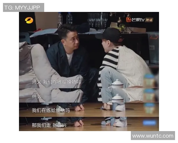 飞盘人生的乐趣与挑战黄磊与飞盘的深度对话分享