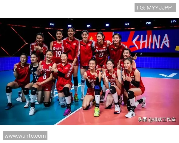 上海排球队的节奏解析与深度剖析排球运动的魅力与挑战