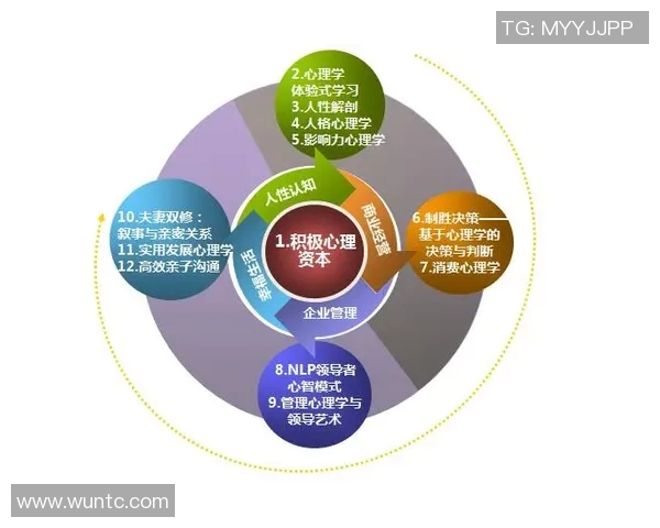 乒乓球战术解析与北京乒乓球队运营体系的深度探讨与实践经验分享